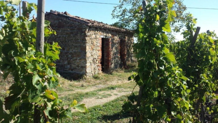 Domaine Gallet 加萊酒莊