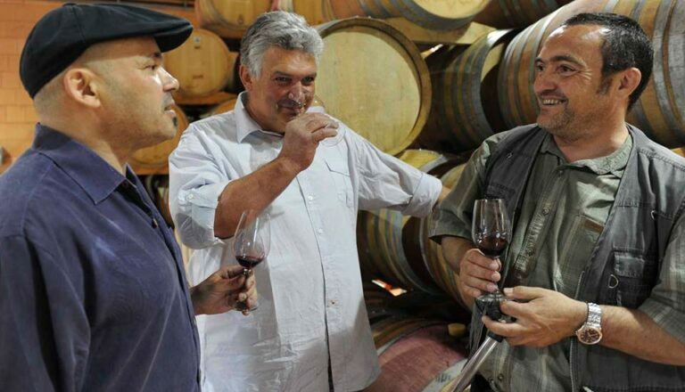 Les Vins de Vienne 金樽酒莊