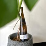 Valdisole – Armonia 2021