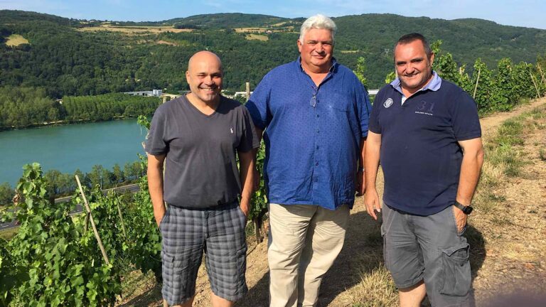 Les Vins de Vienne 金樽酒莊