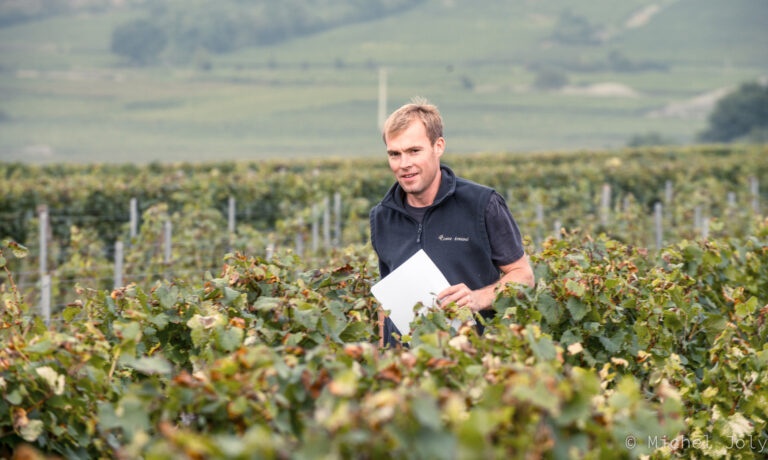 Benjamin Leroux vineyard