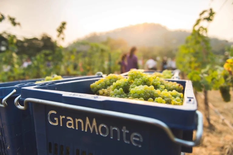 GranMonte 格蘭蒙特酒莊