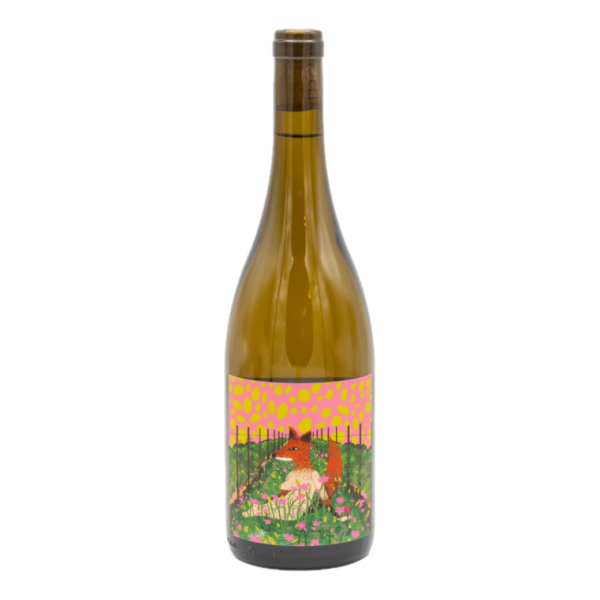 Kindeli - Primavera 2022