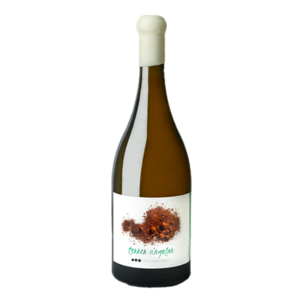 Finca Mas Perdut - Terrer Singular Amphore White 2021