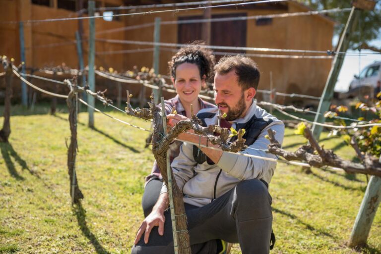 Finca Mas Perdut 迷漾莊園