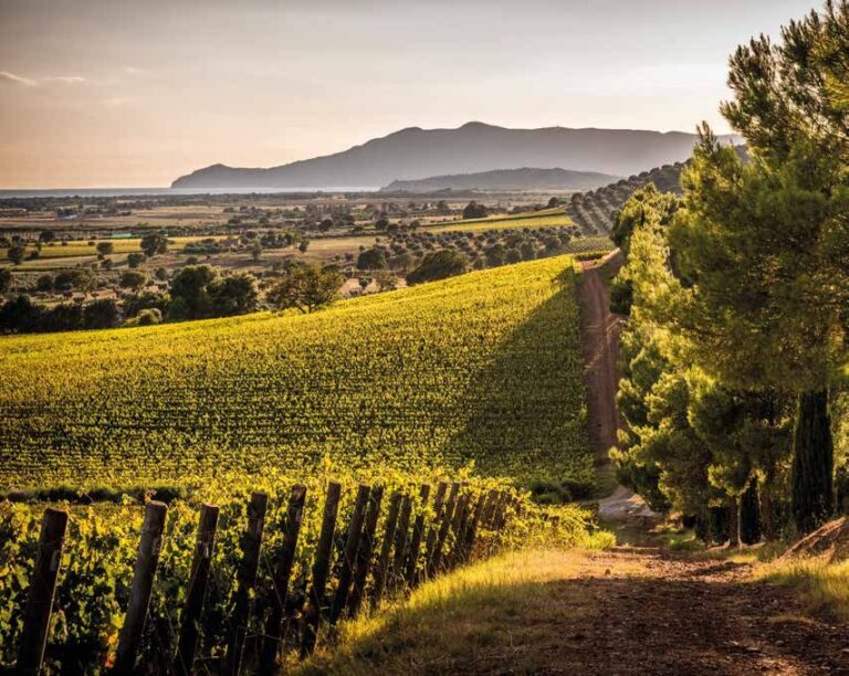 Il Poggiarello 波賈雷洛酒莊