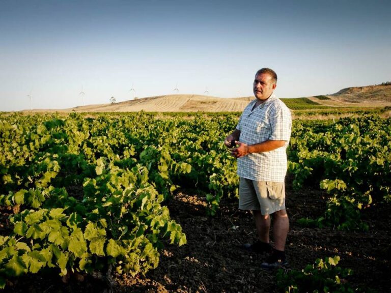 Viteadovest 維特多維斯酒莊