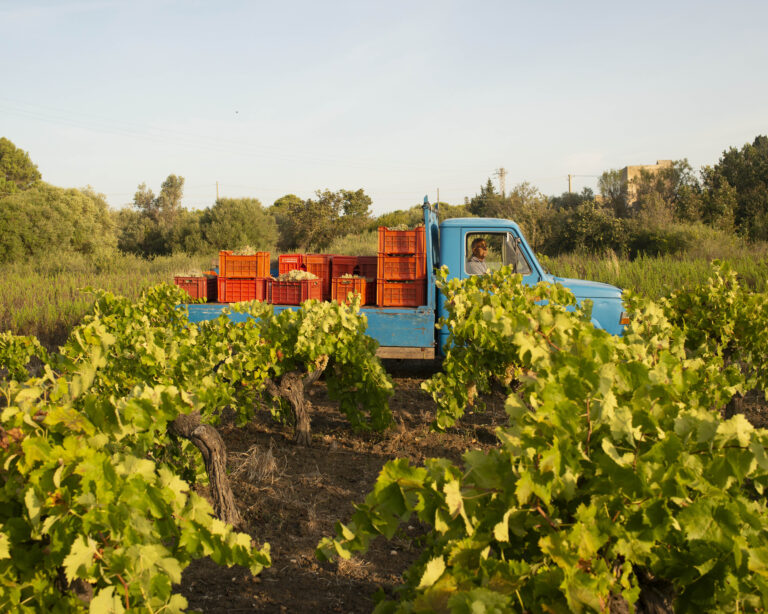 Viteadovest 維特多維斯酒莊