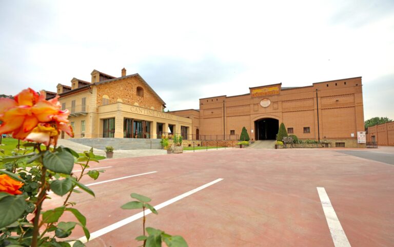 Cantina Povero 雲霧酒莊