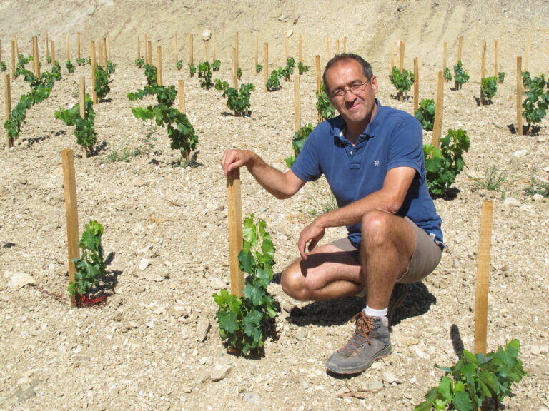 Chateau de Saint Cosme 聖可姆酒莊