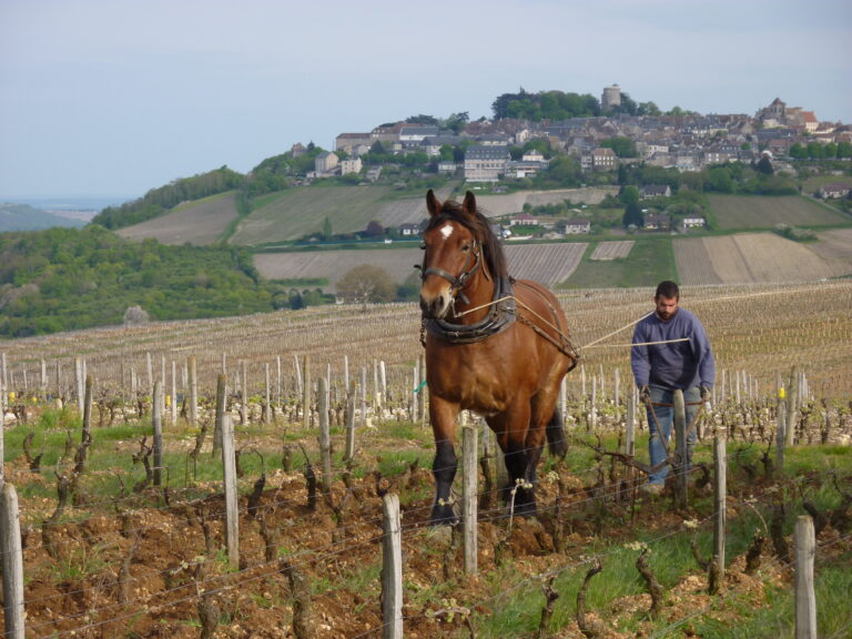 Sebastien Riffault 塞巴斯蒂安瑞福酒莊