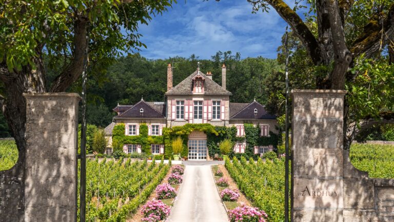 Domaine d'Ardhuy 亞都依酒莊