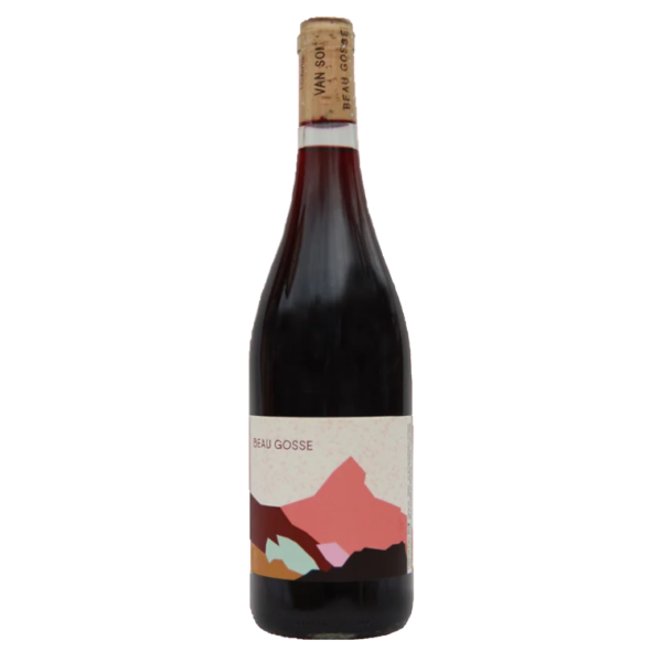 Sonshine Vins - Beau Gosse Mondeuse 2022