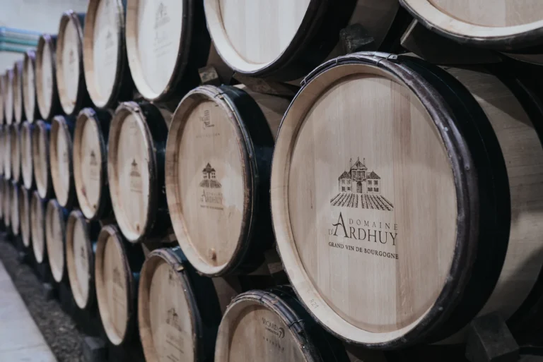 Domaine d'Ardhuy 亞都依酒莊
