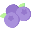 藍莓 blueberries