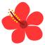 紅花香 red flower
