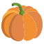 南瓜 pumkin