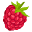 覆盆莓 raspberry