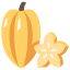 楊桃 starfruit