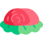 鮪魚 tuna