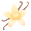 香草 vanilla