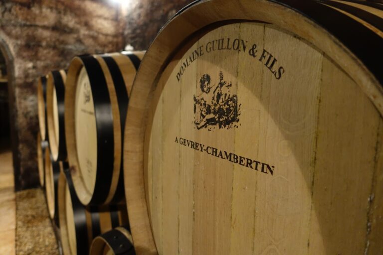 Jean-Michel Guillon & Fils 強米歇吉雍父子酒莊
