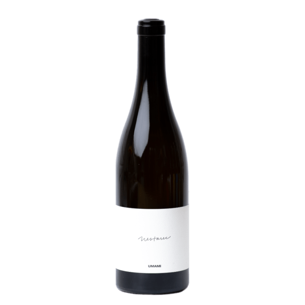 Milan Nestarec - Umami 2021