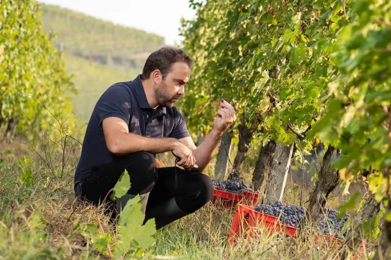 Roagna 羅亞那酒莊