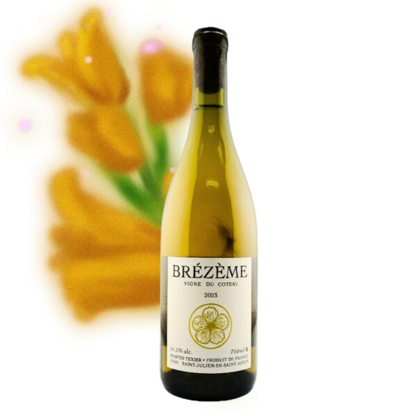 Martin Texier - Brezeme Vigne du Coteau 2023