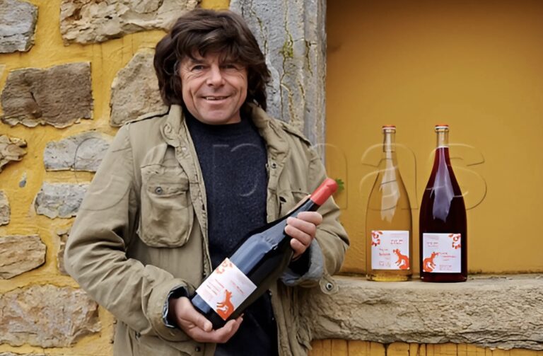 Philippe Bornard 小狐狸酒莊