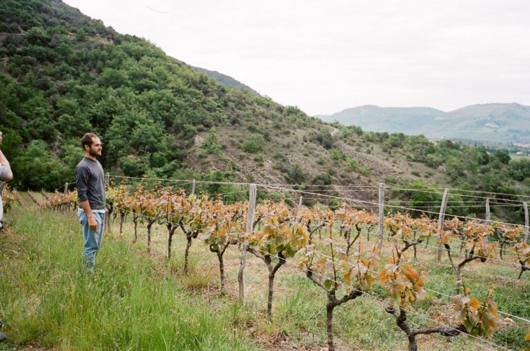 Martin Texier 馬丁泰克西耶酒莊