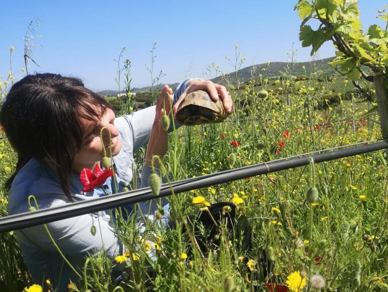 Kamara Pure 卡瑪拉純淨酒莊