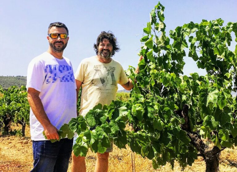 Ramon Jane 雷蒙傑內酒莊