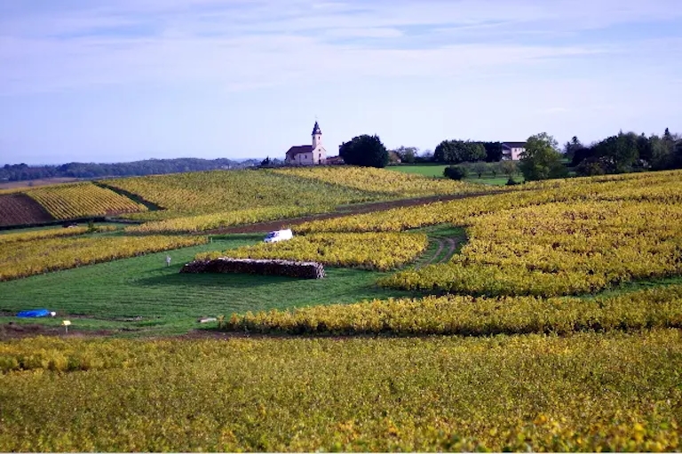 Domaine de la Bongran 朋恭酒莊