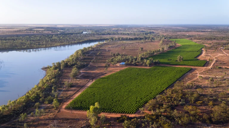 Byrne Vineyards 伯恩酒莊
