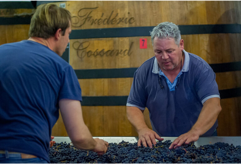 Frederic Cossard & Domaine de Chassorney 弗雷德里克科薩德 & 沙索內酒莊