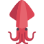 魷魚 squid