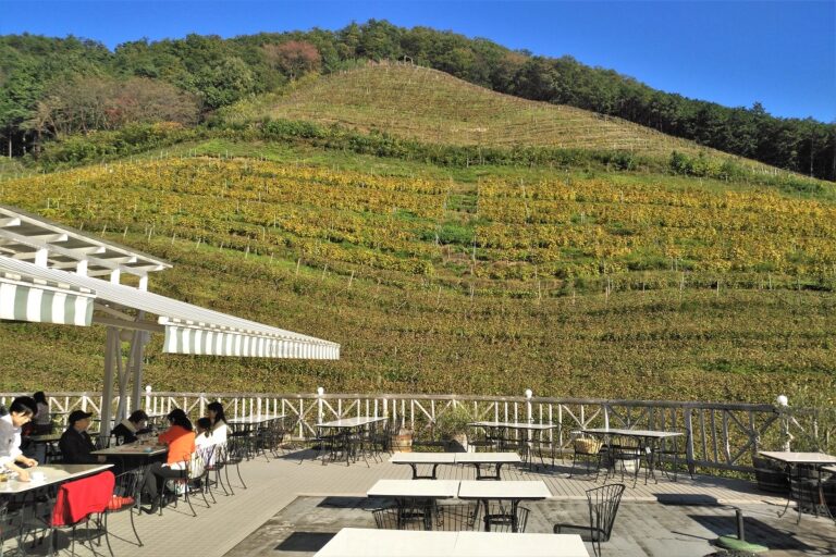 Coco Farm & Winery 可可農場酒莊