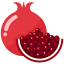 紅石榴 pomegranate