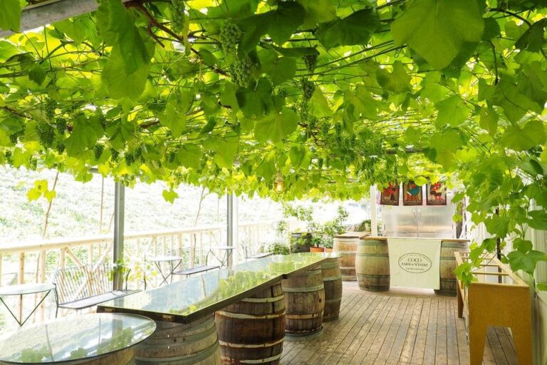 Coco Farm & Winery 可可農場酒莊