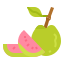 Guava 芭樂