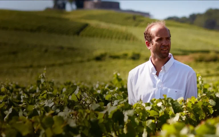 Labruyere 拉布耶酒莊