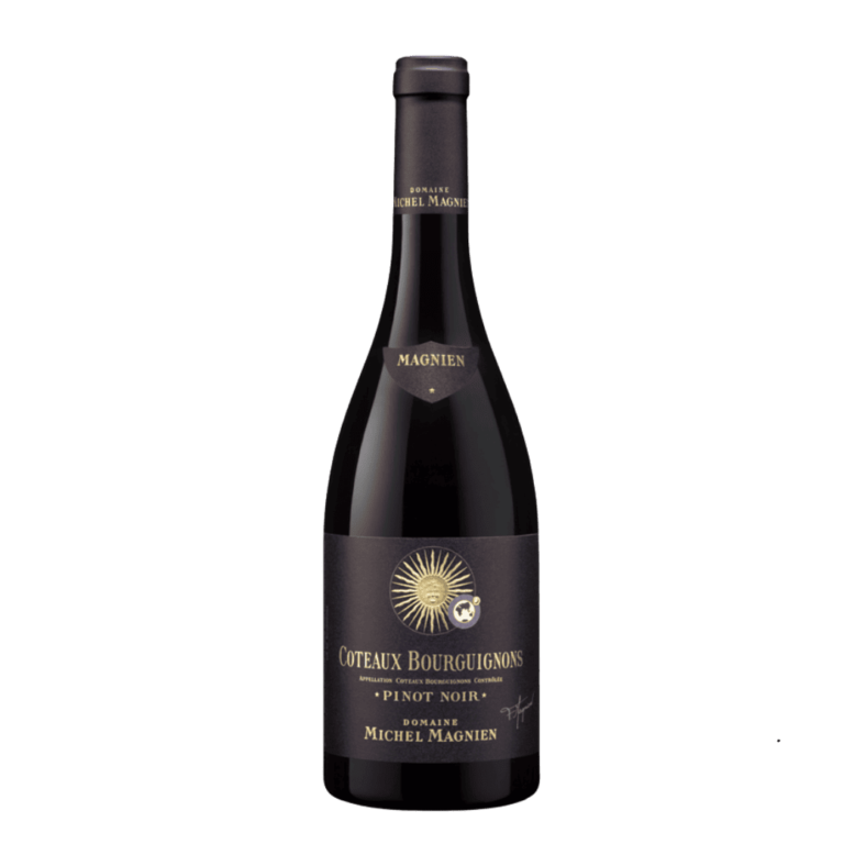 Michel Magnien - Coteaux Bourguignons 2020