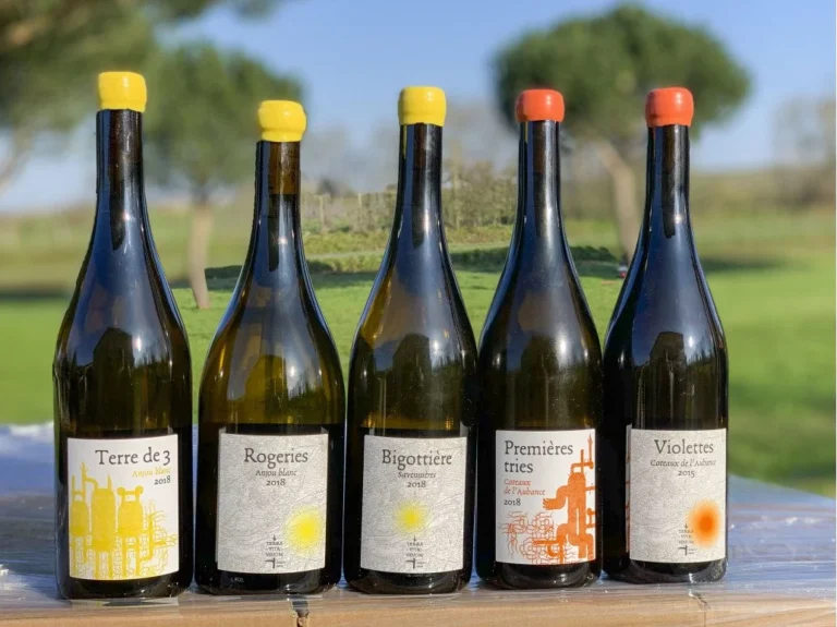 Terra Vita Vinum 泰若維塔酒莊