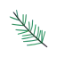 松針