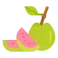 芭樂