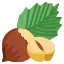 榛果