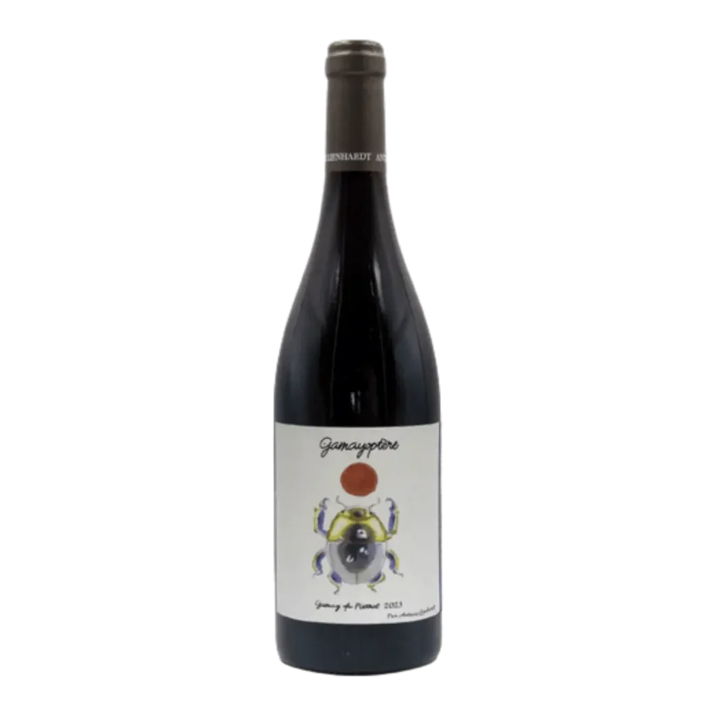 Antoine Lienhardt - Coteaux Bourguignons Gamayoptere 2023