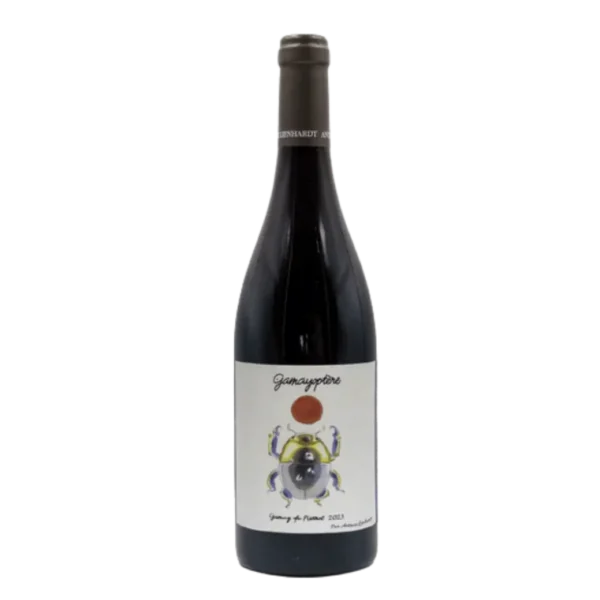 Antoine Lienhardt - Coteaux Bourguignons Gamayoptere 2023