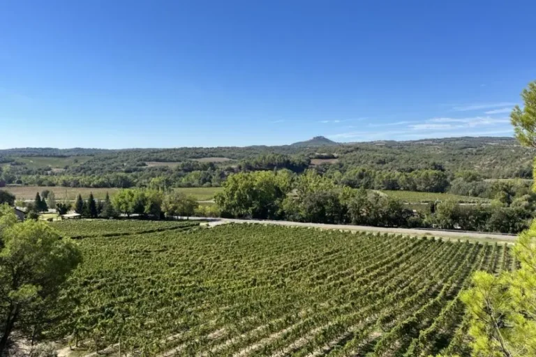 Viñas del Vero 維羅酒廠
